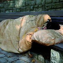 Постельное белье "Бездомный" (2,0)