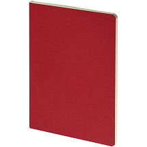 Бизнес тетрадь А5 Pragmatic, 40 листов в клетку, красный