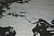 Скретч карта мира black - миниатюра - рис 2.